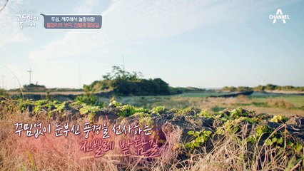 무한 감탄! 월정리의 보석, 진빌레 발담길