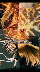 Teori buah iblis Monkey D Dragon