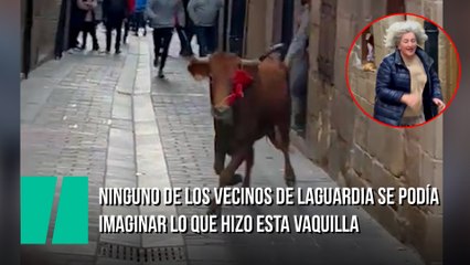 Ninguno de los vecinos de Laguardia se podía imaginar lo que hizo esta vaquilla