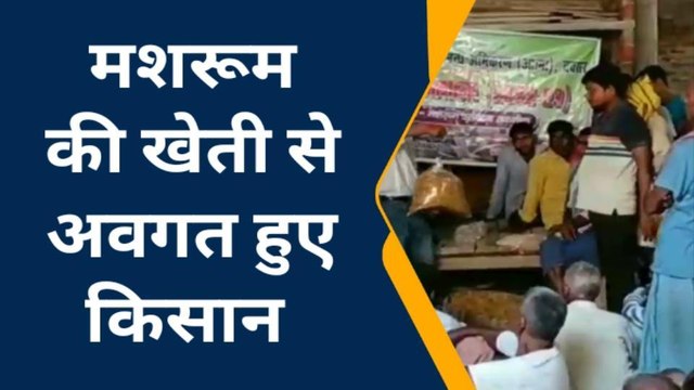 बक्सर :राजपुर में कृषि विभाग ने लगाया चौपाल, मशरूम की खेती करने की दी गयी जानकारी