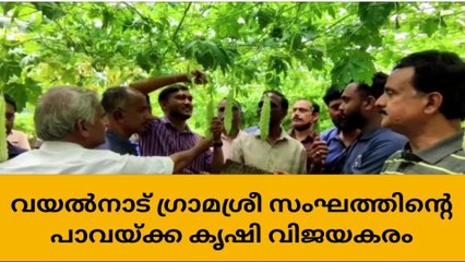 വയനാട്: കയ്പ് വിതച്ച് വിജയം കൊയ്ത് വയല്‍നാട് ഗ്രാമശ്രീ സംഘം