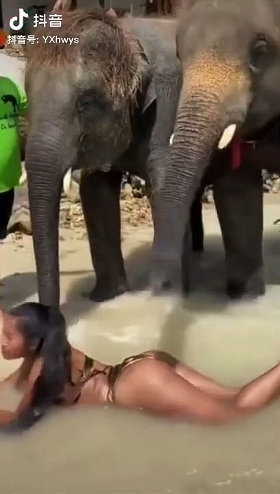 Un éléphant coquin fait un massage à une fille en bikini sur une plage