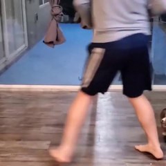 Only puppies make us happy and comfortable to watch  - Cutest Puppy