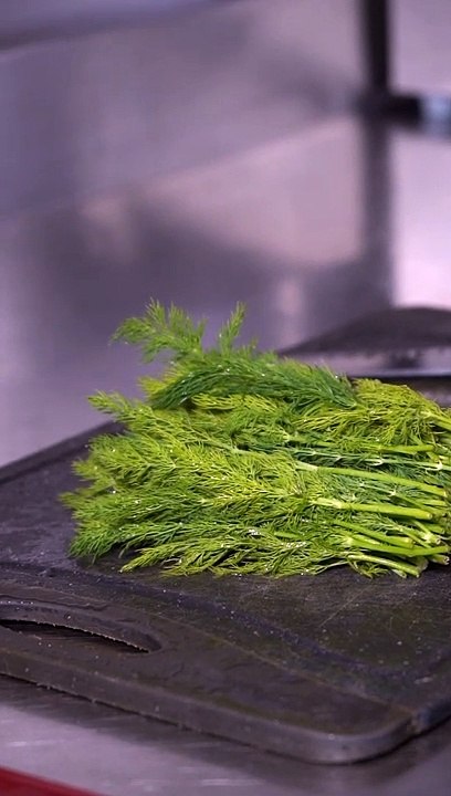 Papais Vertical Video