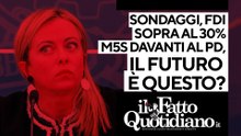 Sondaggi, Fratelli d'Italia oltre il 30%, M5S davanti al Pd. Il futuro è questo? Segui la diretta con Peter Gomez