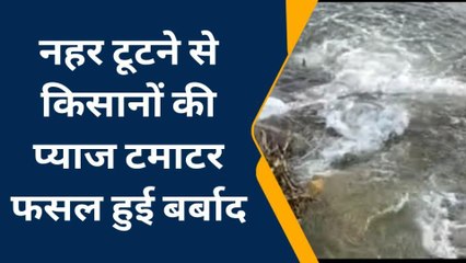 करौली : अधिकारियों की लापरवाही से किसानों की प्याज टमाटर की फसल हुई बर्बाद, देखिए पूरी खबर