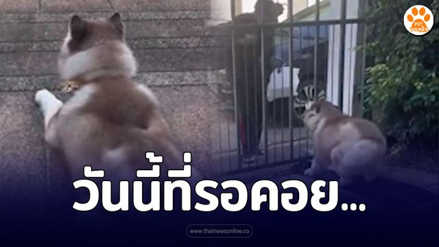 วันนี้ที่รอคอย มันก็จะ คึกๆ ดีดๆหน่อย