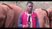 Muhabirin fille imtihanı: Hortumundan kaçamadı, kahkahaya boğuldu