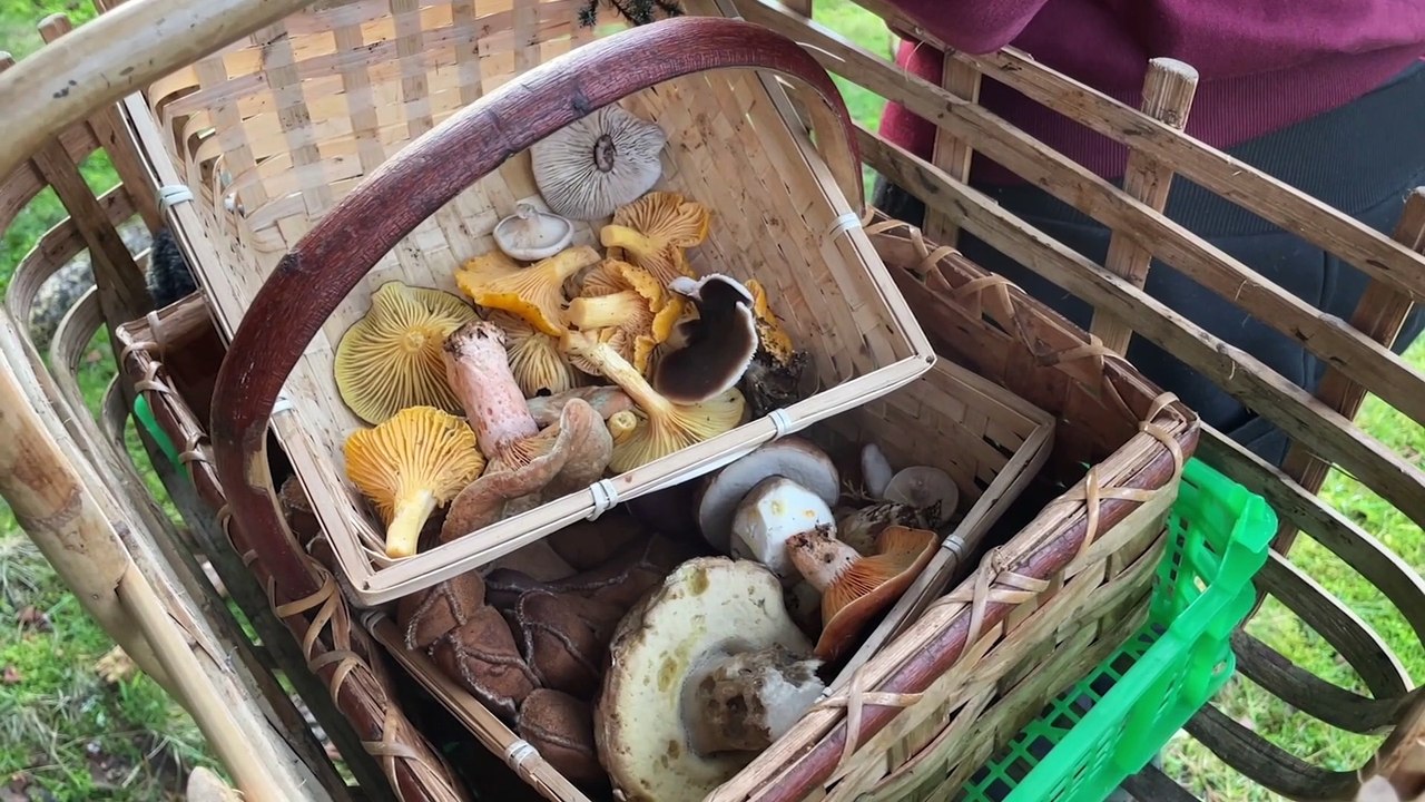 Mangez des pommes ! Oui mais des pommes du Pilat