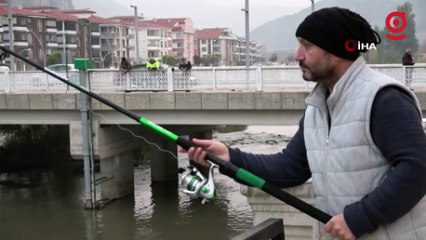 Yeşilırmak’ta su samuru ailesi görüldü, vatandaşlar yayın balığı sandı