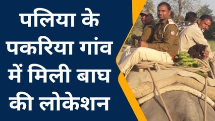 लखीमपुर खीरीः बाघ की लोकेशन मिलने से ग्रामीणों में दहशत, वनकर्मियों ने हाथी पर चढ़कर शुरू की काम्बिंग