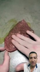 Beef fillet withmushroom sauce......Filet de boeuf sauce aux champignons