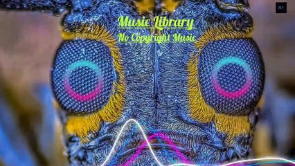 Best Of Vlog Background Music 2022 | No Copyright Music |