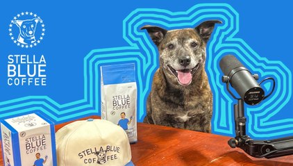 Introducing Stella Blue Coffee