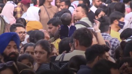World population reaches eight billion according to UN