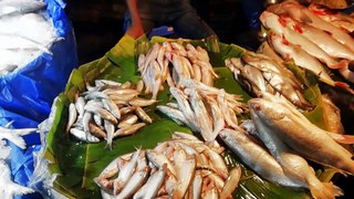 Huge Retail Fish Selling Area of Bangladesh