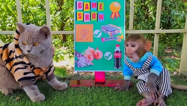 Bin Bon Cat Monkey so cute Baby Kittens Puppy Rabbits Animals Eats Eggs