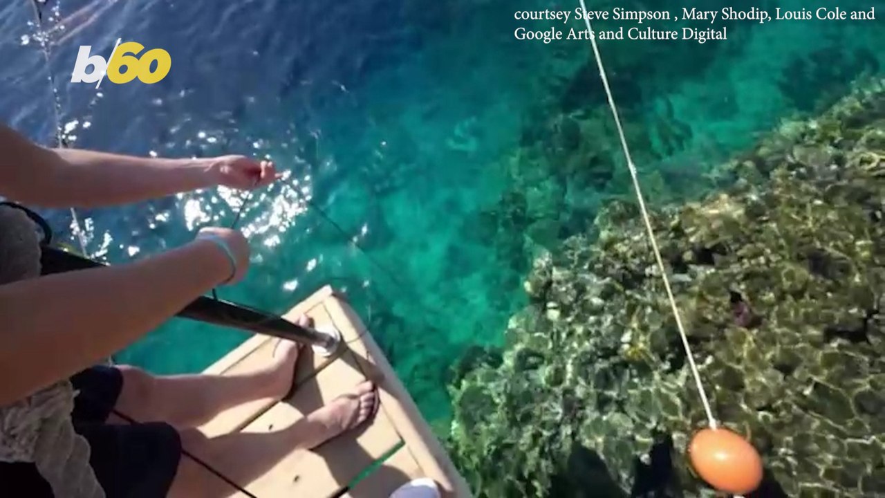The Corals are Talking and Asking for Help