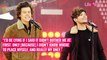 Harry Styles Going Solo After One Direction Bothered Louis Tomlinson For THIS Reason