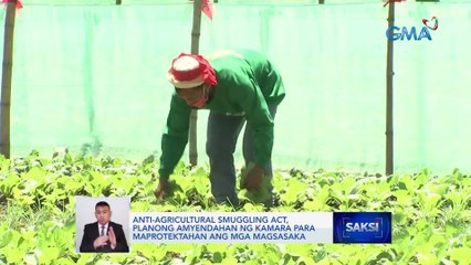Anti-Agricultural Smuggling Act, planong amyendahan ng Kamara para maprotektahan ang mga magsasaka | Saksi