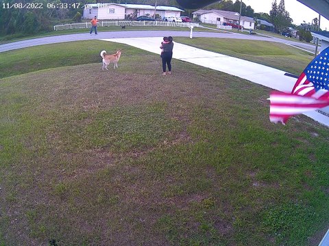 German Shepherd Protects His Boy
