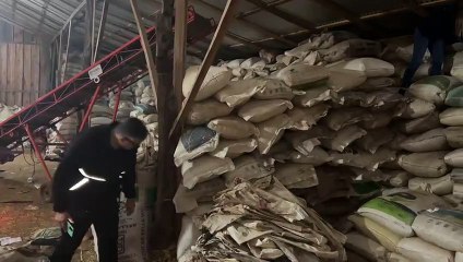 Incautación récord de soja ilegal en el norte del país