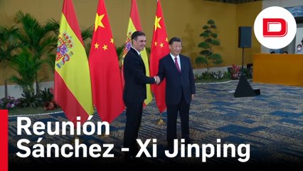 Sánchez pide a Xi Jinping que ejerza su influencia para que Putin ponga fin a la guerra