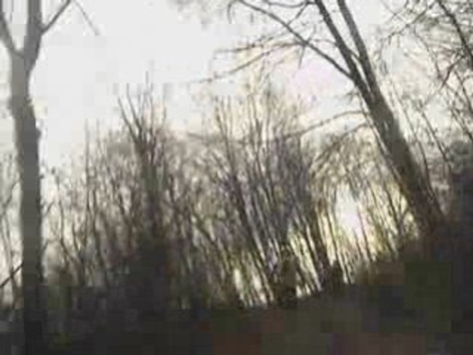 Rando 15 03 2008