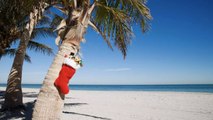 9 Ways to Celebrate Christmas in Florida — From Disney Parties to Boat Parades