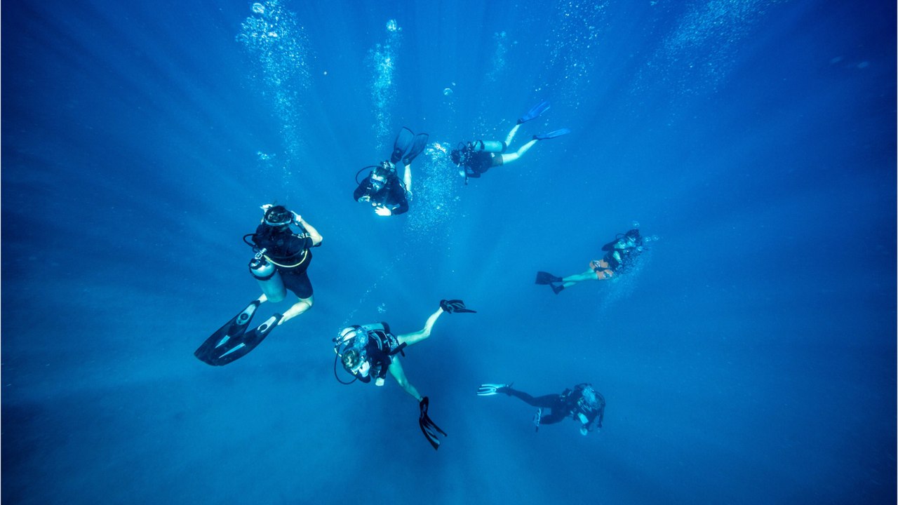 Divers unravel unexpected find at the bottom of the Ocean