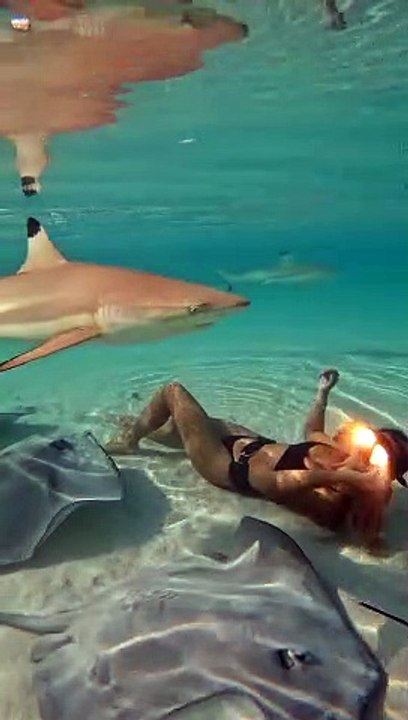 Swimming With Blacktip Sharks and Stingrays