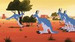 Wild Kratts - Kickin' It With the Roos S1