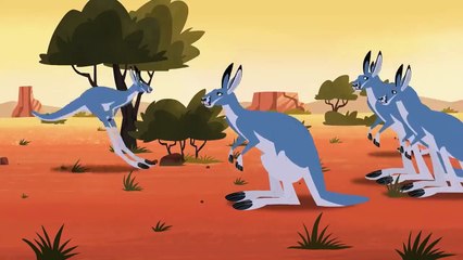 Wild Kratts - Kickin' It With the Roos S1