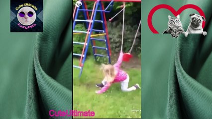 FUNNY Animal Videos That will make you Pee your Pants | Funniest Animals Videos PART 3