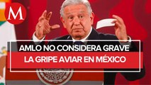 AMLO se compromete a informar sobre gripe aviar en México; 