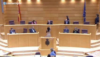 El socialista Ander Gil llama a la cuestión a Pepa Millán, de Vox