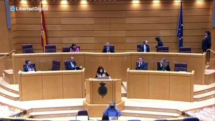 El socialista Ander Gil llama a la cuestión a Pepa Millán, de Vox