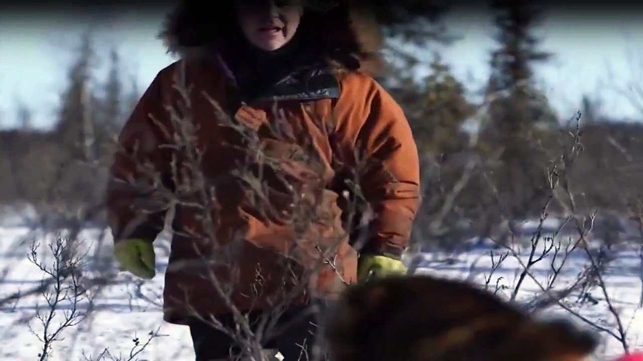 Yukon Men - Überleben in Alaska Staffel 5 Folge 8 HD Deutsch