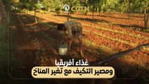 غذاء أفريقيا ومصير التكيف مع تغير المناخ