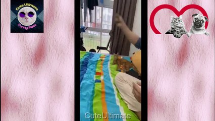 Funny video compilation | Best memes compilation | Funny vines | PART 4