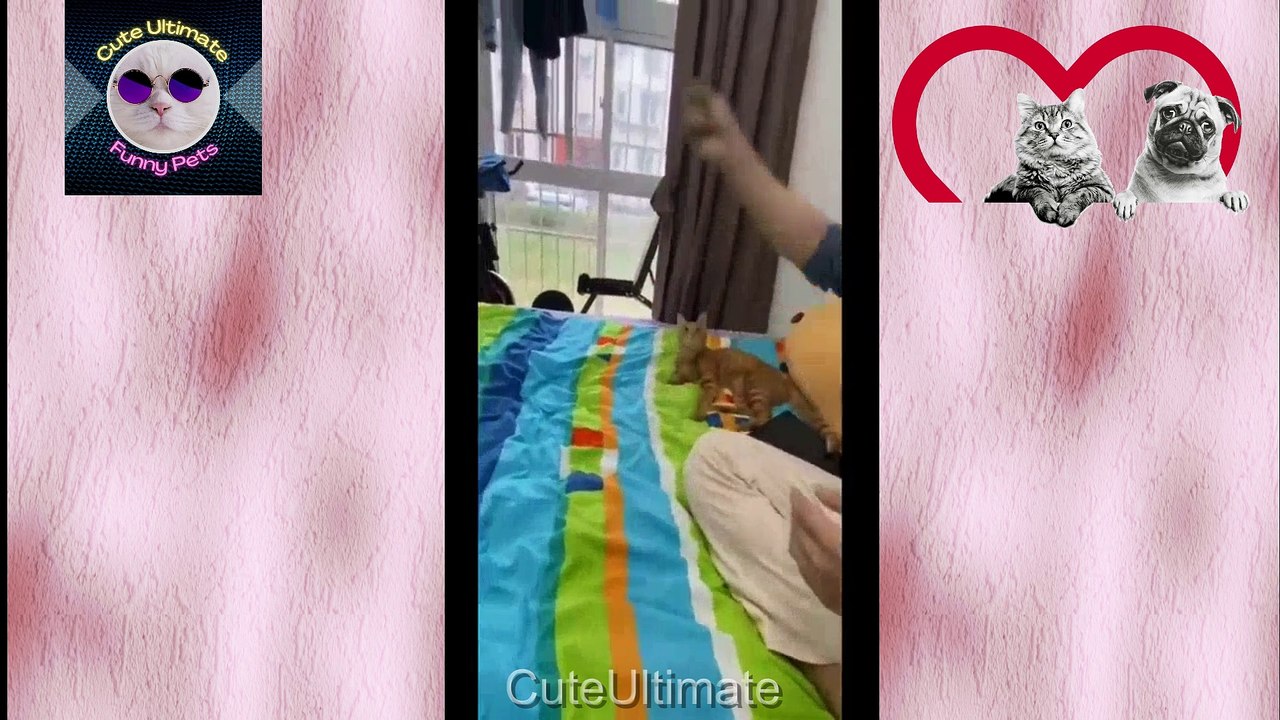 Funny video compilation | Best memes compilation | Funny vines | PART 4