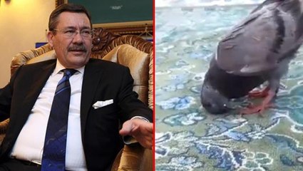 Melih Gökçek, Kabe'de güvercinin secde ettiği iddia edilen videoyu gerçekmiş gibi paylaştı
