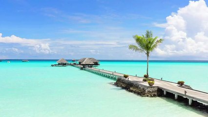 Dermaga - indah -mixkit-long-wooden-pier-on-a-paradisiacal-beach-2875-medium