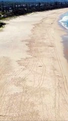 Gentleman Dignity Quotes!