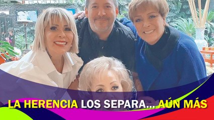 Sylvia Pasquel puso un museo-bar con cosas de Silvia Pinal, su hermano Luis Enrique armó un pleito