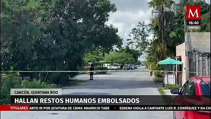 下载视频: Hallan restos humanos en bolsas de plástico en Quintana Roo