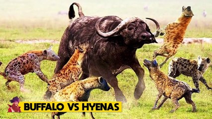 15 Times Animals Tried To Protect Other Animals