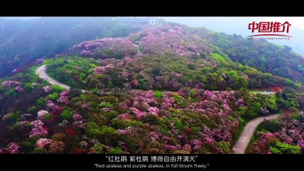 《中国推介》湖南省双牌县：锦绣潇湘 和美双牌  China Recommendation Shuangpai, Hunan: Splendid Hunan, graceful Shuangpai