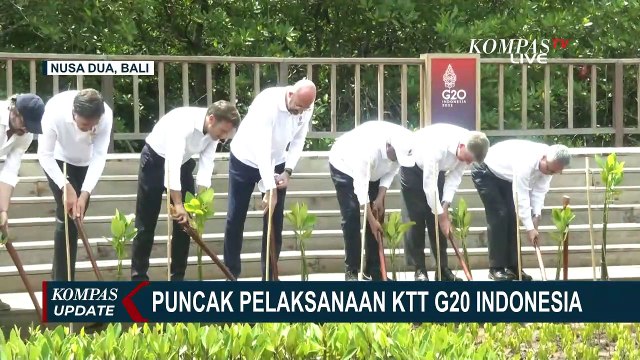 Presiden Joko Widodo Ajak Pemimpin Negara G20 Jalan-Jalan ke Tahura Mangrove Bali
