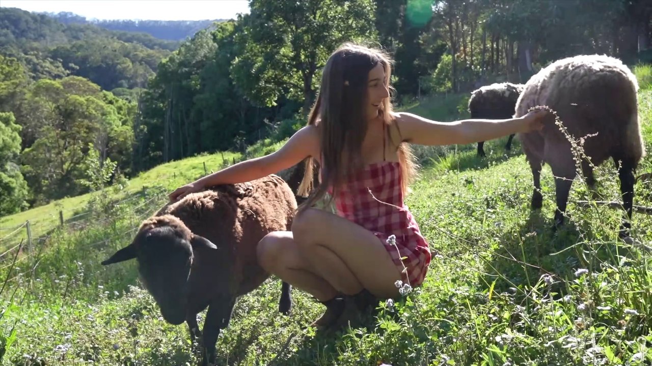 3 Years in the Rainforest- Our Story